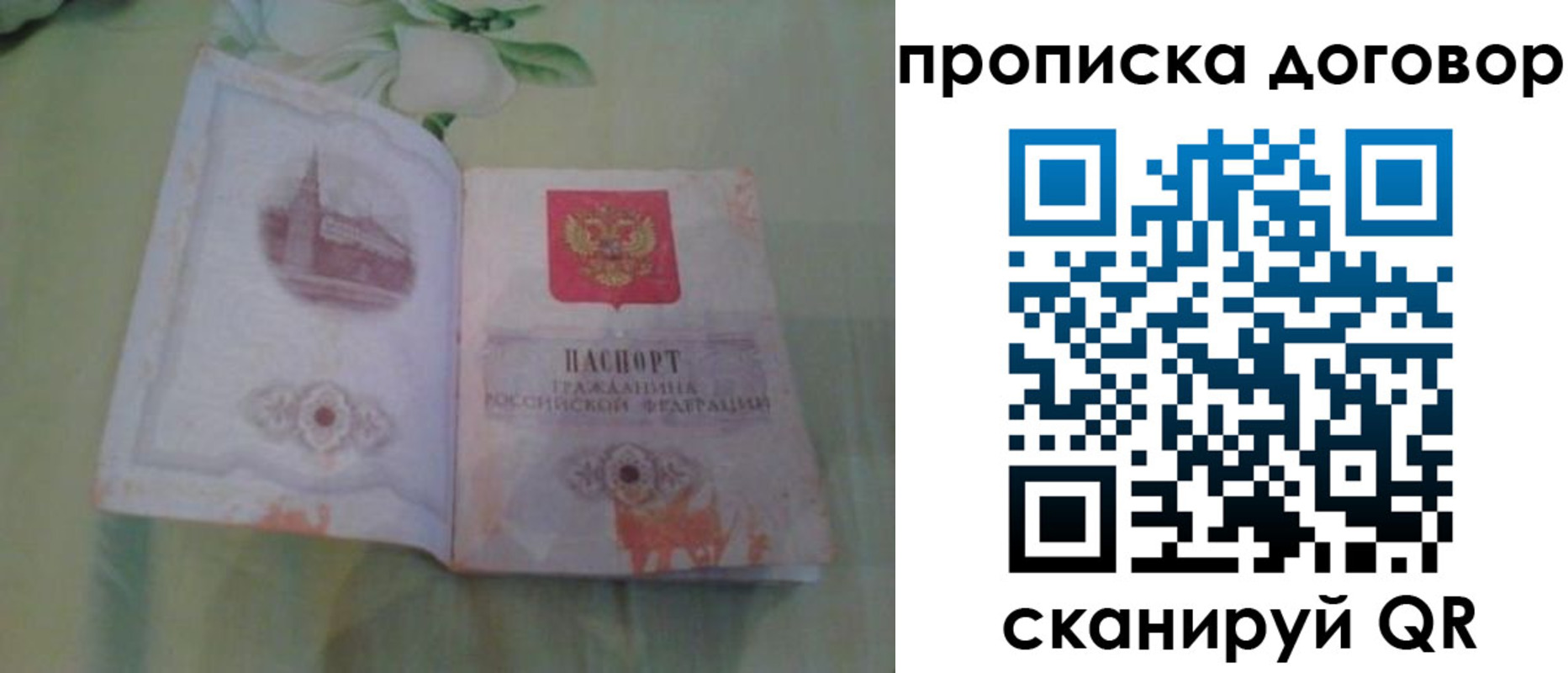 временная регистрация гарантия в Каменке